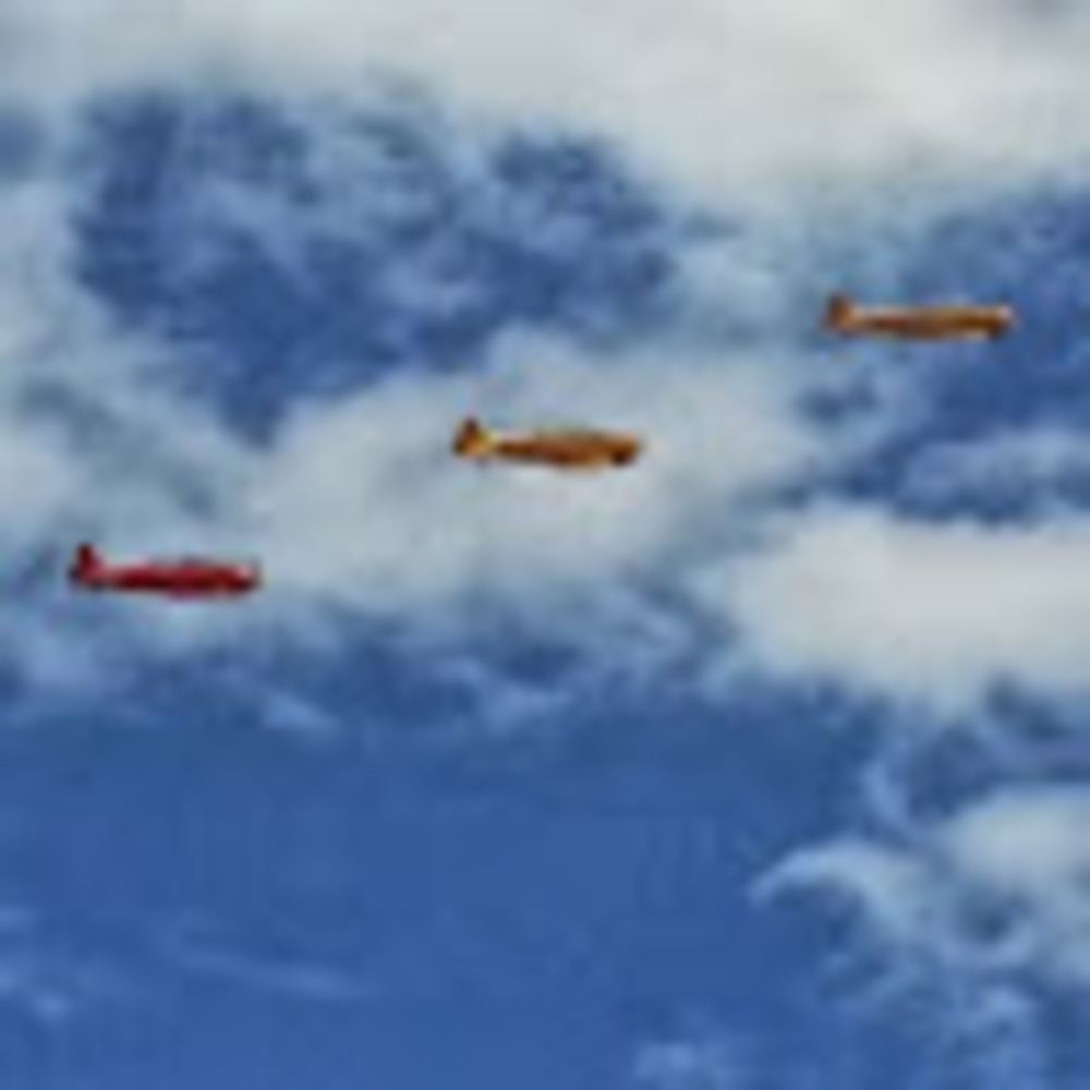 Meet your Posher, Carla